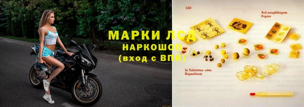 ПСИЛОЦИБИНОВЫЕ ГРИБЫ Баксан