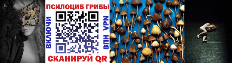 darknet клад  Георгиевск  Галлюциногенные грибы мухоморы 